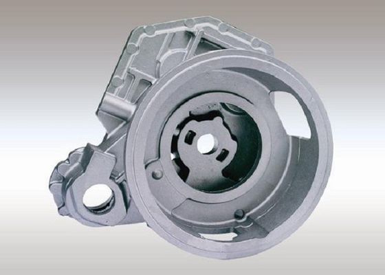 Tor disponibile delle colate del ghisa grigio dell'OEM - caso di raggiro per il carrello elevatore a forcale