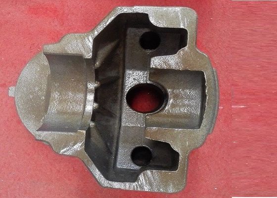 OEM differenziale della cassa di dimensione dei prodotti accurati del ghisa disponibile